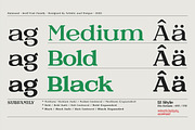 Raimond - Serif font family, a Serif Font by Artistic & Unique (Thumbnail 2 of 15)