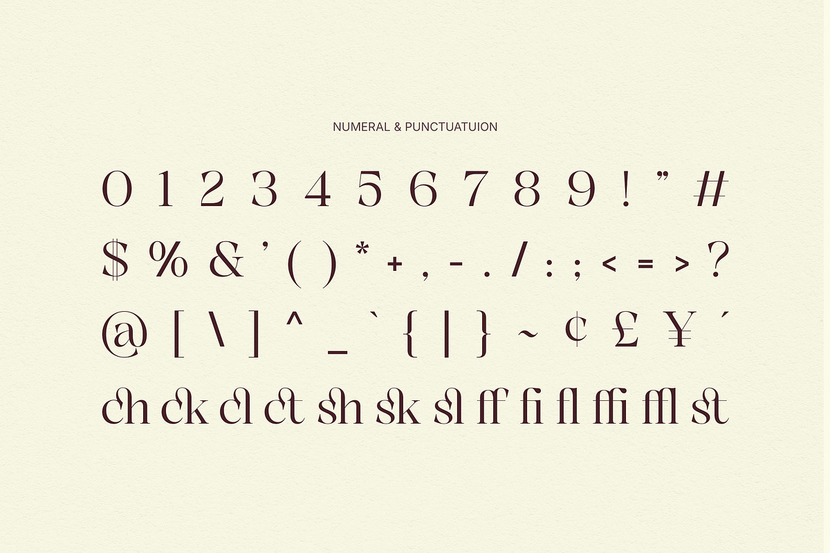 Deluxer - Elegant Modern Serif, a Serif Font by Typia Nesia (Photo 4 of 16)