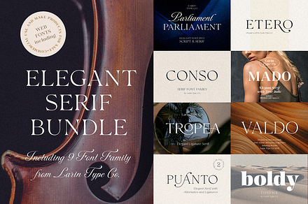 Serif Bunde, a Serif Font by Larin Type Co.