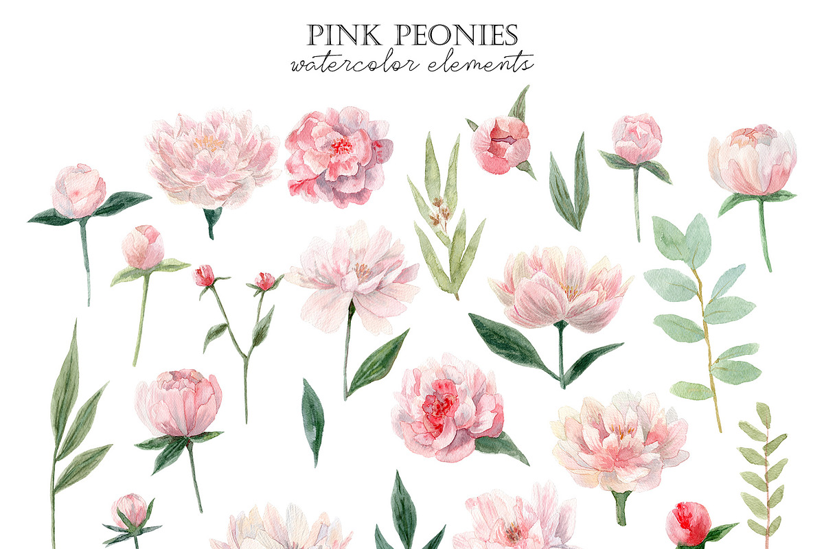 Watercolor Peony. Pink peonies., a Decorative Illustration by Slastick (Photo 3 of 11)