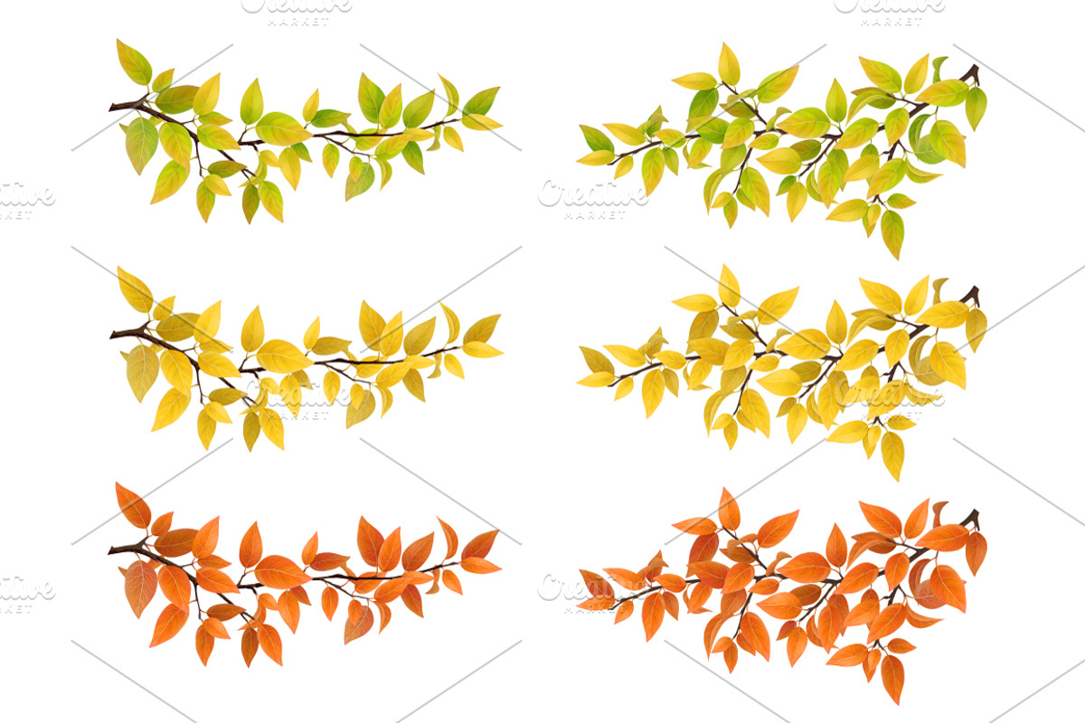 Set of autumn tree branches, a Seasonal Illustration by belander (Photo 2 of 3)