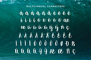 San Luis Script Font, a Script Font by Design Panoply (Thumbnail 7 of 11)