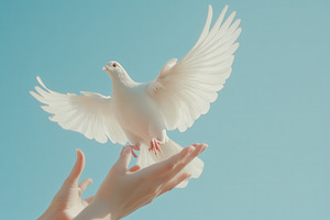 A white dove gracefully takes flight, a Photo by Pavel_design