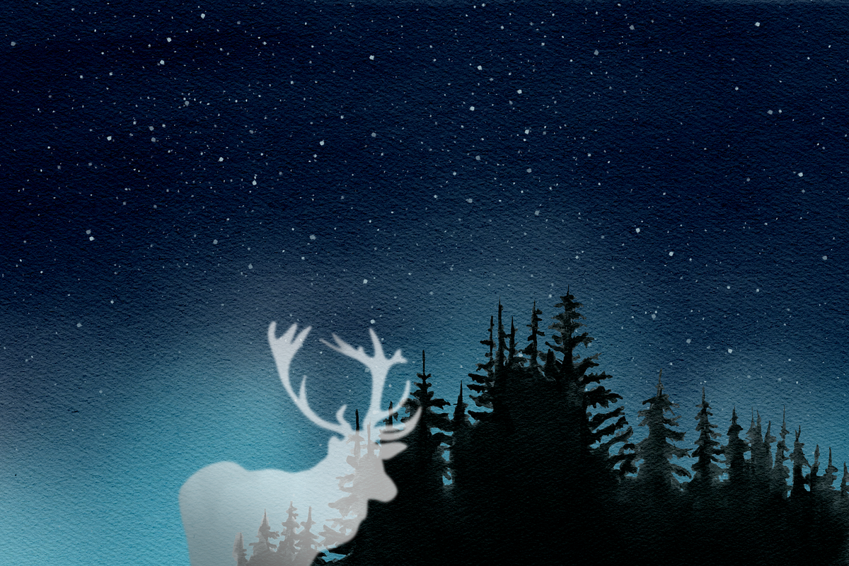 Northern Lights, a Background Graphic by NikiArts (Photo 11 of 12)