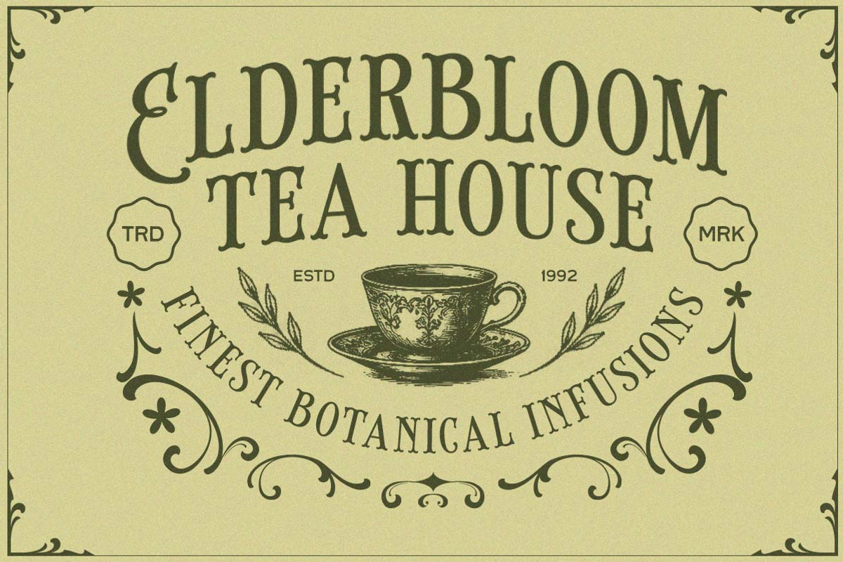 Brindley Houston Display Serif, a Serif Font by Letterhend Studio (Photo 7 of 11)