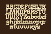 Rust Smoke–Vintage Western SlabSerif, a Slab Serif Font by MaikoHatta (Thumbnail 5 of 8)