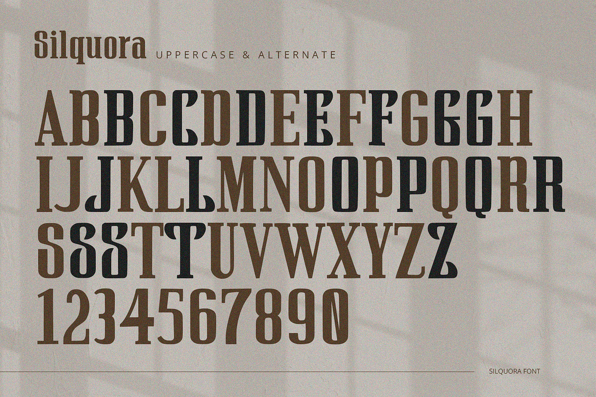 Silquora - Serif Font, a Font by Alpaprana (Photo 8 of 10)