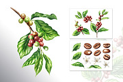Coffee Time. Watercolor hand drawn, a Food Illustration by Daria Ustiugova (Thumbnail 17 of 18)