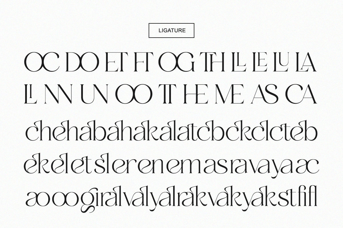 Aniekyal - Luxury Serif Font, a Serif Font by Qweera Studio (Photo 10 of 12)
