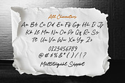 Vortex Omega Font, a Handwritten Font by Timurtype (Thumbnail 6 of 7)
