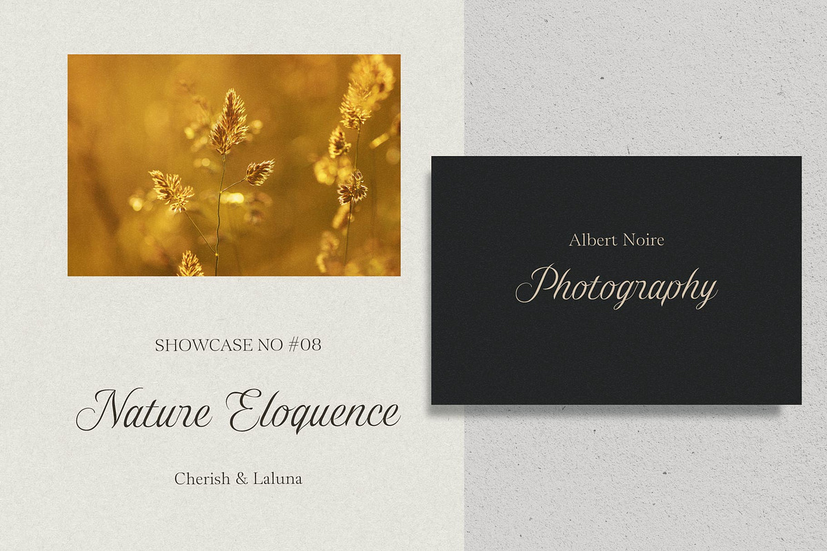 Gold Lines; Elegant Font Duo, a Script Font by Eko Bimantara (Photo 13 of 20)