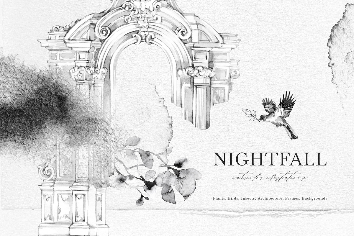 BUNDLE 3400+ in 1 Illustrations, an Animal Illustration by Anastezia Luneva (Photo 16 of 22)