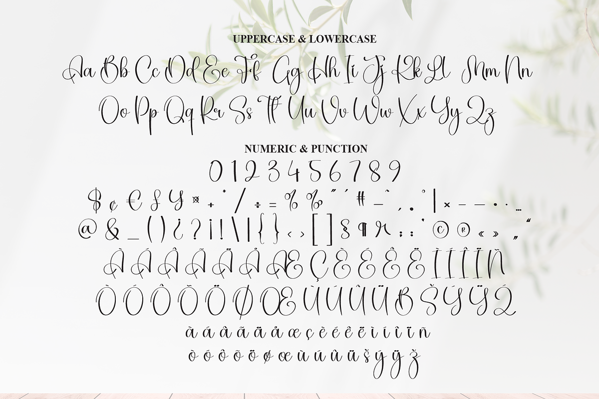 Bestina | Script Font, a Handwritten Font by Scratchones (Photo 7 of 9)