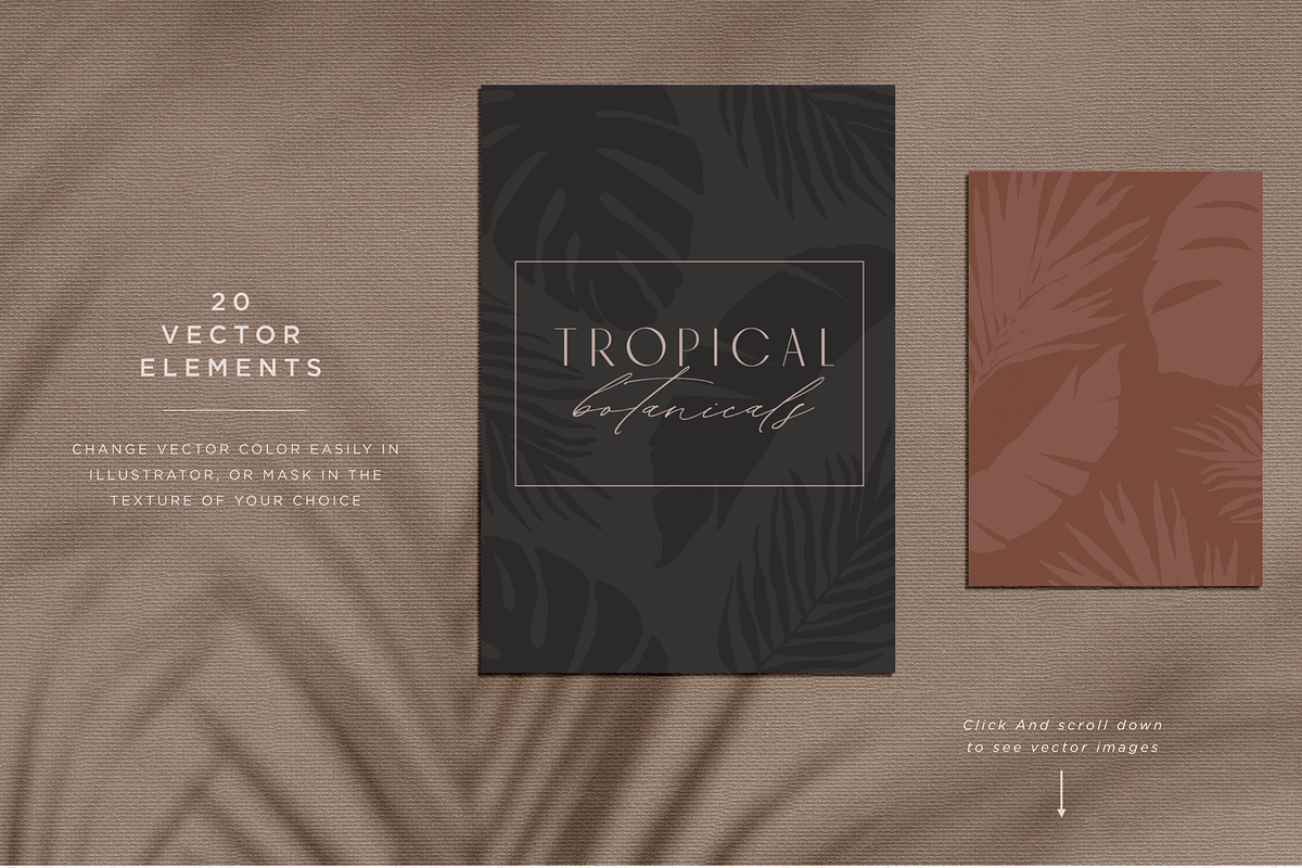 Tropicana Botanical Elements, a Graphic by Opal Creative (Photo 5 of 10)