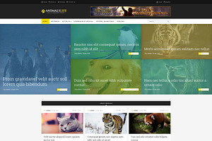 Animals - PSD Template