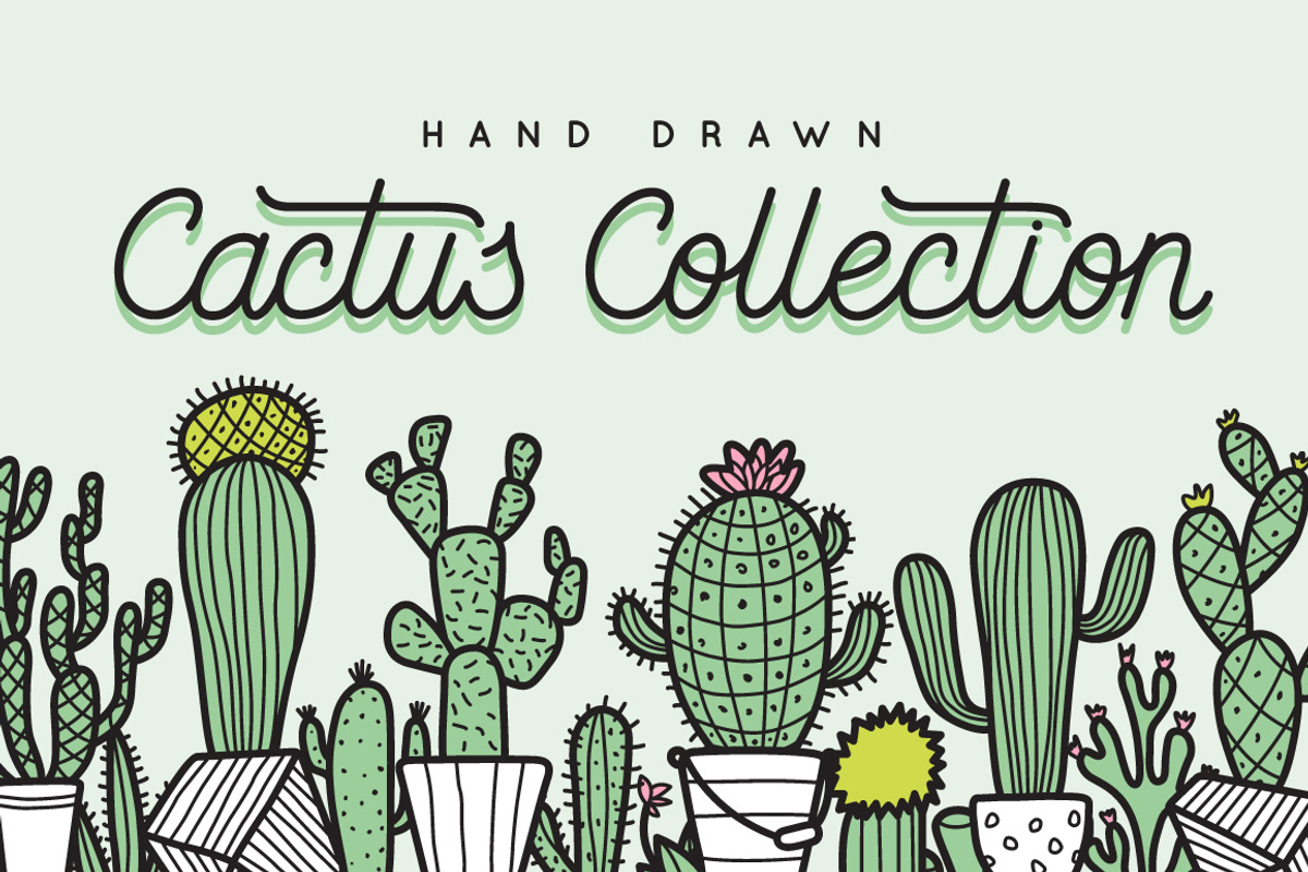 Cactus Collection, a Decorative Illustration by Chelovector (Photo 1 of 4)