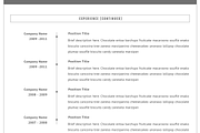 Professional CV Resume Template, a Resume Template by GResume (Thumbnail 7 of 7)