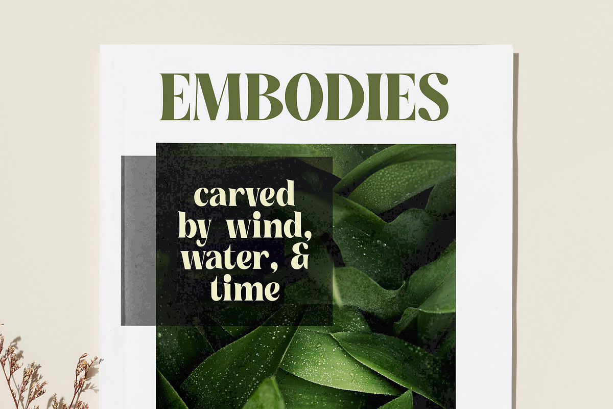 Buffery Reflika Modern Bold Serif, a Serif Font by timelesstype.co (Photo 9 of 20)