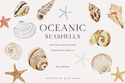 OCEAN Undersea Coral reef animals, an Animal Illustration by Grace Noboa Illustrations (Thumbnail 6 of 15)