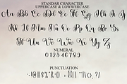 Beauty Writing, a Handwritten Font by FreshTypeINK (Thumbnail 4 of 8)