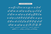 Baterty Spotteam Elegant Brush Font, a Script Font by Letterena Studios Script (Thumbnail 18 of 20)