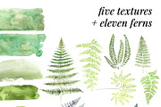 Watercolor Ferns Mini Kit, a Texture Illustration by Instinct Design Co (Thumbnail 2 of 2)