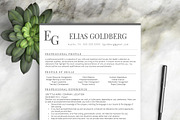 Professional Resume Template, a Resume Template by Resume Template Shoppe (Thumbnail 1 of 10)