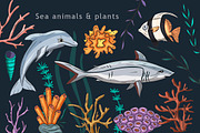 Under the sea. Big graphic set., an Animal Illustration by Red Ink (Thumbnail 4 of 10)