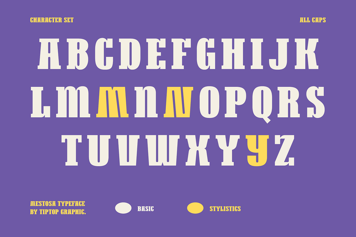 Mestosa - Funky Slab Serif, a Serif Font by Tiptop Graphic (Photo 4 of 10)