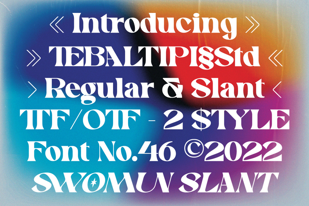 Swomun - Bold Serif, a Serif Font by tebaltipislab (Photo 3 of 15)