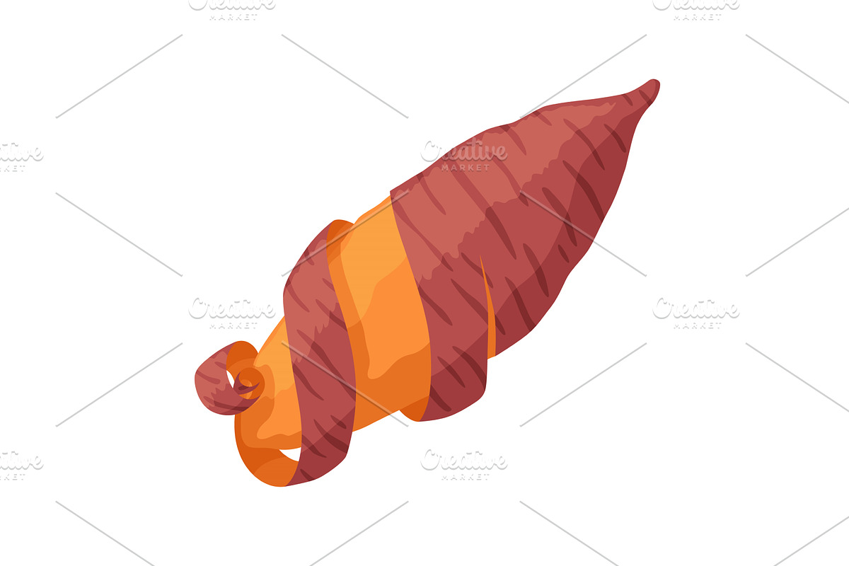 Sweet potato batata. Vegatable, a Food Illustration by the8monkey