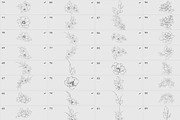Procreate flower stamp, peony brush, a Brush Add-On by AnnaPolitmerskaja (Thumbnail 3 of 5)
