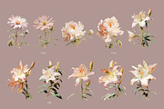 Flowers - watercolor illustrations, a Decorative Illustration by AI Crafted Magnolia (Thumbnail 5 of 13)