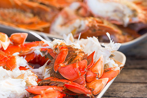 Seafood Platter Australia, a Food & Drink Photo by THP Creative