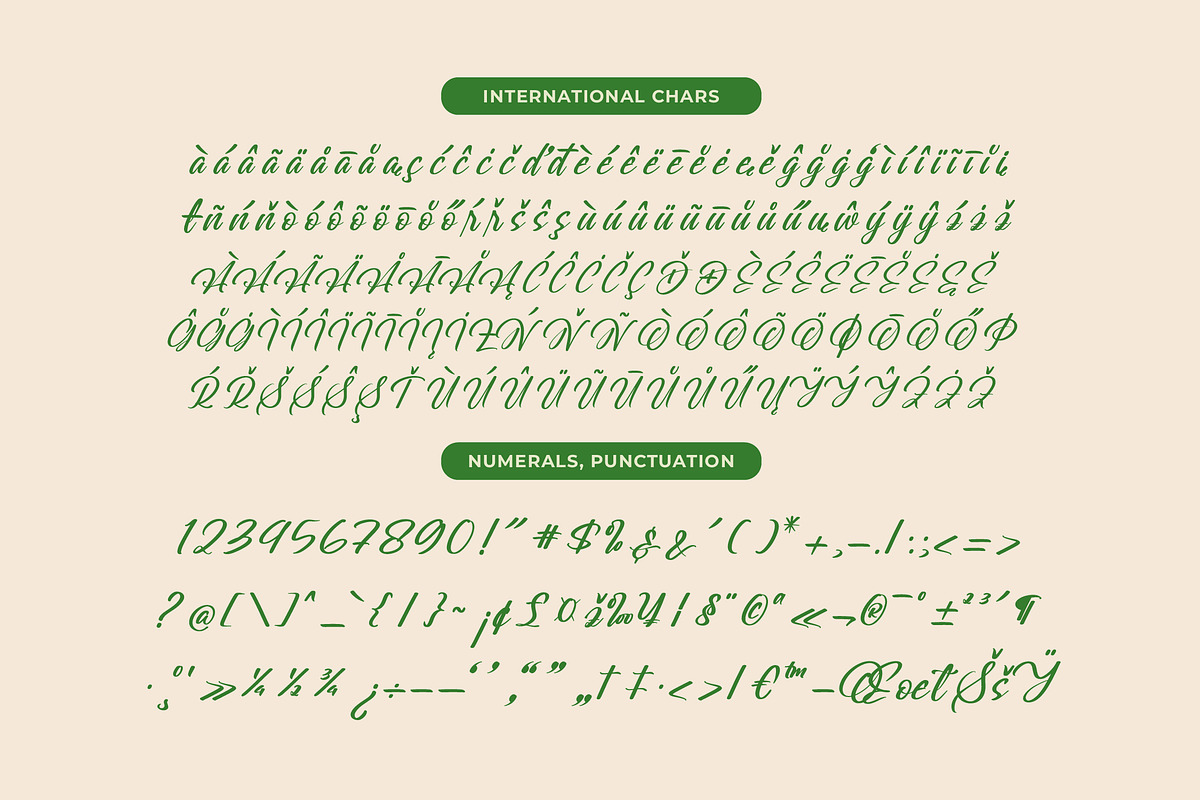 Greatesa Brought Bold Calligraphy, a Script Font by Letterena Studios Script (Photo 18 of 20)