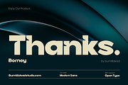 Borney, a Sans Serif Font by Burntilldead (Thumbnail 13 of 13)