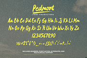 Pedmont, a Handwritten Font by Gatype (Thumbnail 6 of 11)