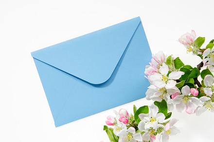 Envelope with blossom apple twig, a Holiday Photo by chamillewhite