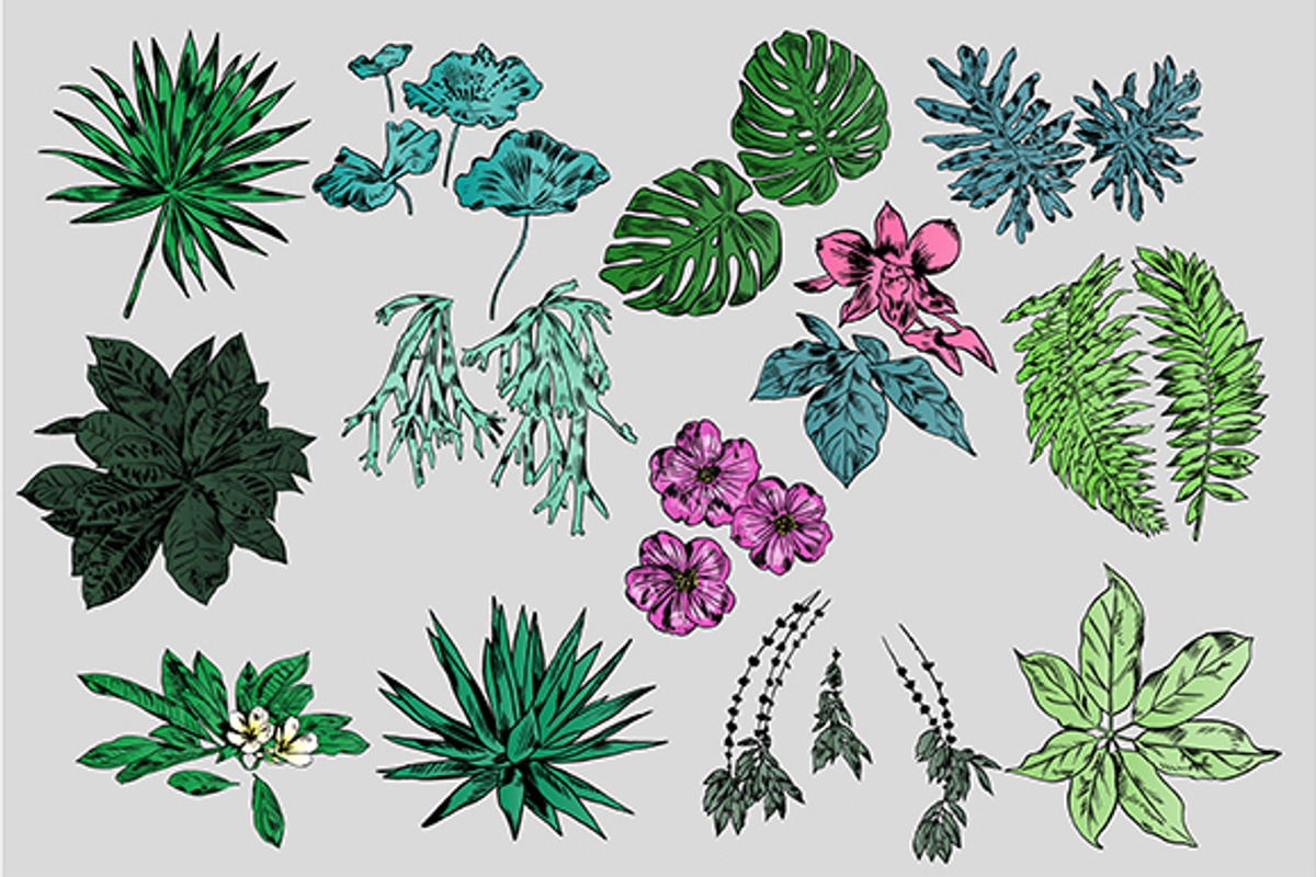 TROPIC FLOWERS, a Decorative Illustration by Tanya Akhmett (Photo 3 of 3)