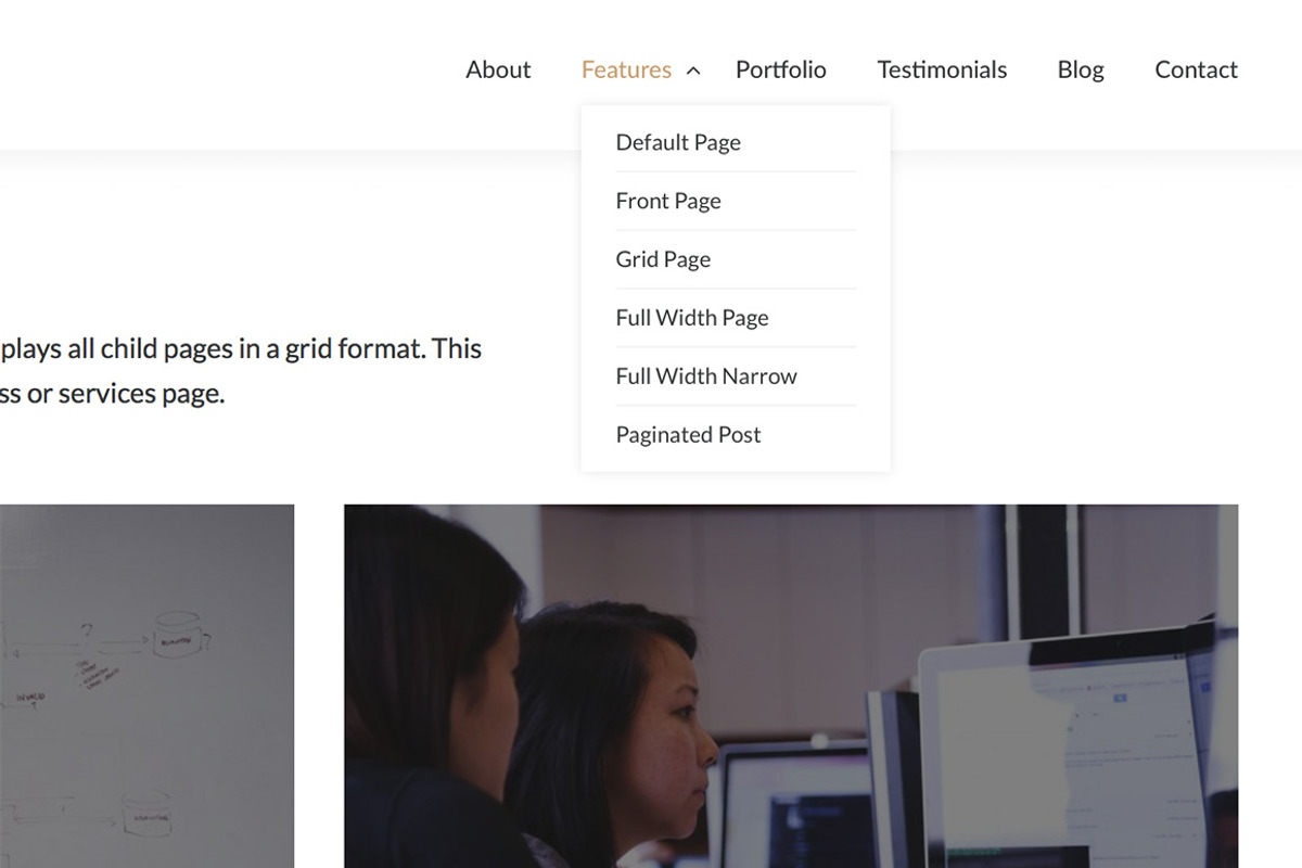 Designbiz WordPress Theme, a WordPress Template by Theme Junkie (Photo 3 of 4)