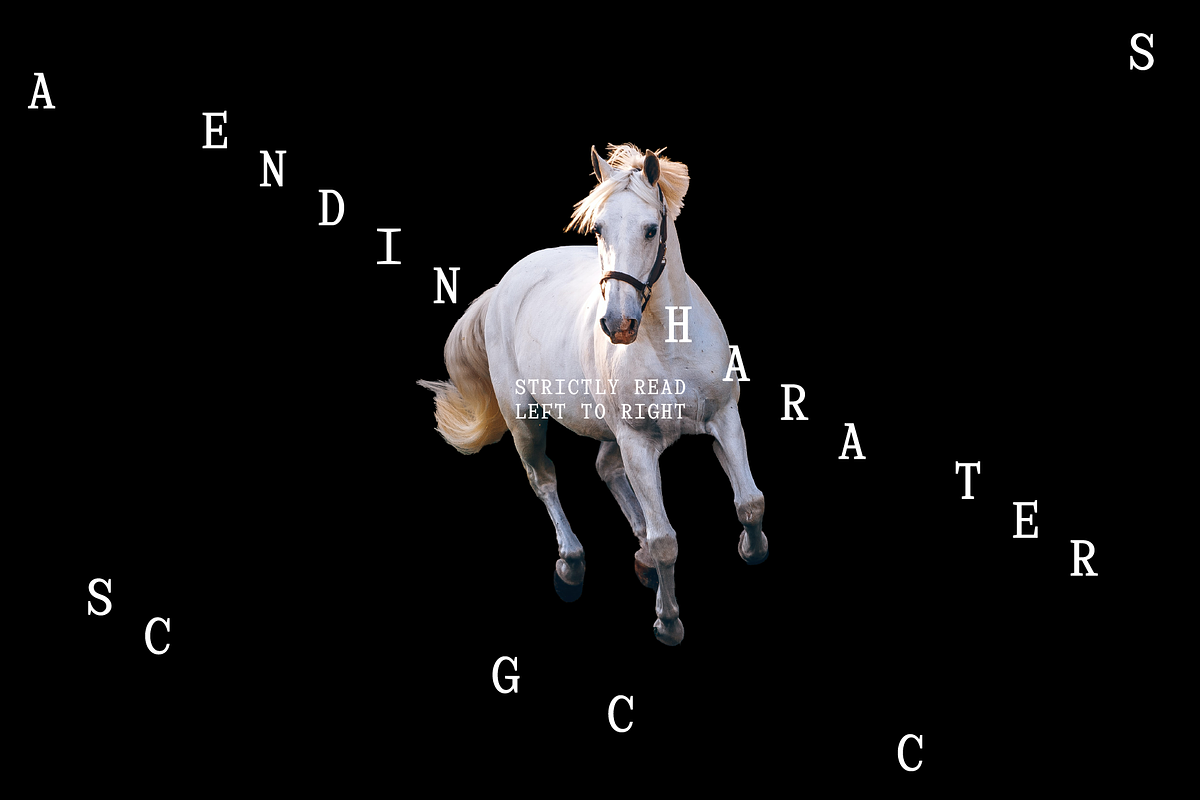 Virgil Monospaced Font, a Serif Font by That That Creative (Photo 3 of 8)