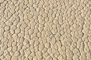 Crackled earth background containing texture, background, and desert, a Nature Photo by Lucky Photographer (Thumbnail 1 of 2)