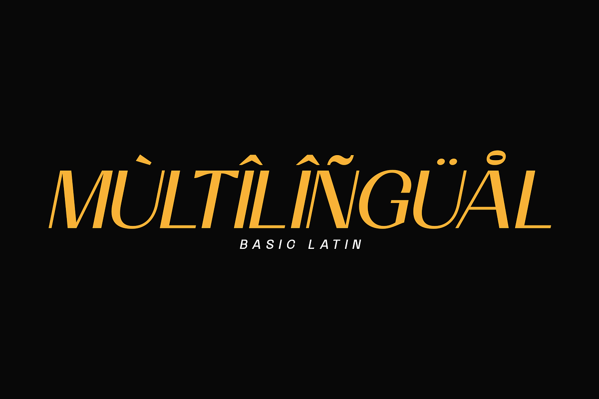 Gerino - Modern Editorial Duo, a Sans Serif Font by Valentino Vergan (Photo 14 of 14)