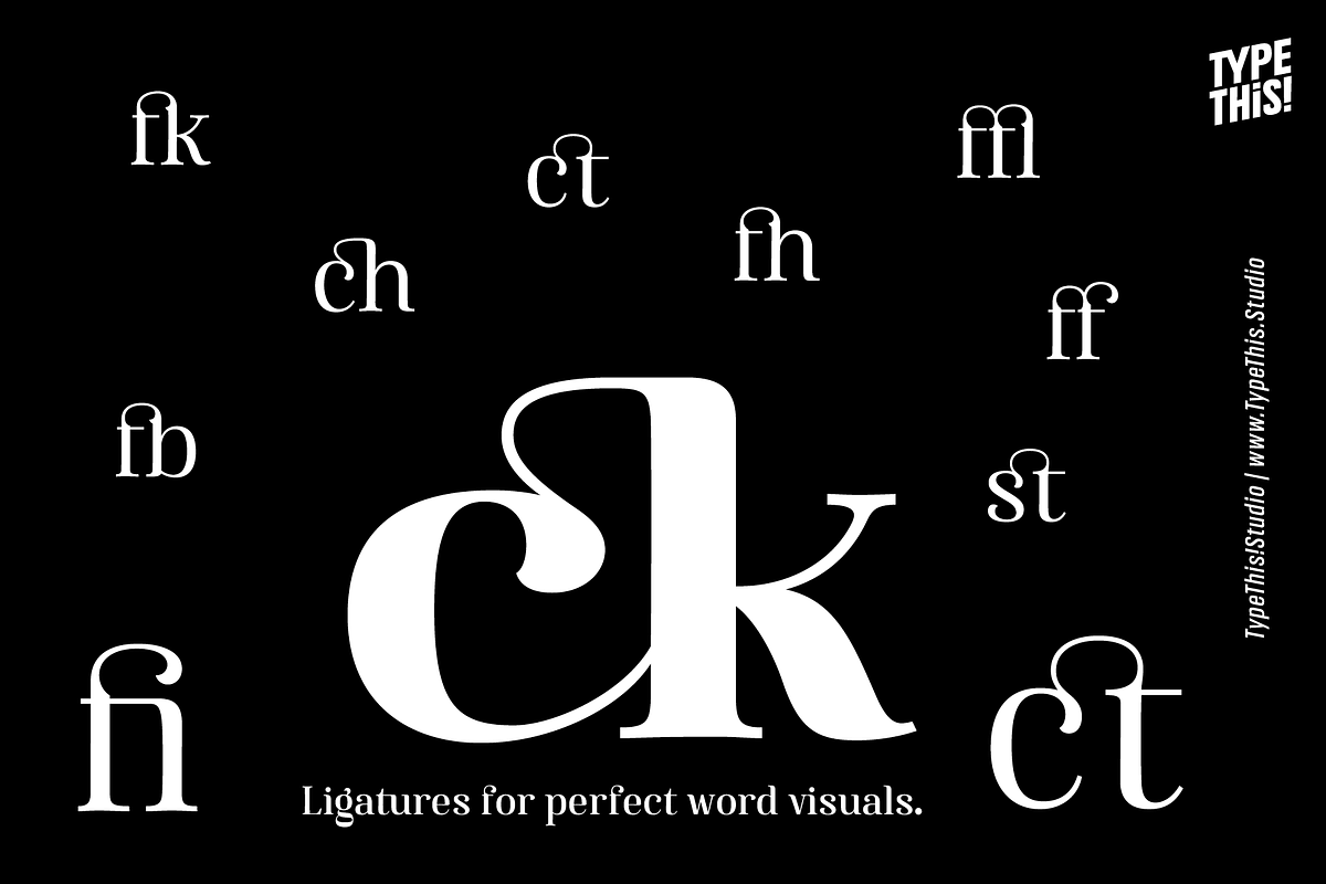 Famosa Core Edition, a Serif Font by TypeThis!Studio (Photo 5 of 11)