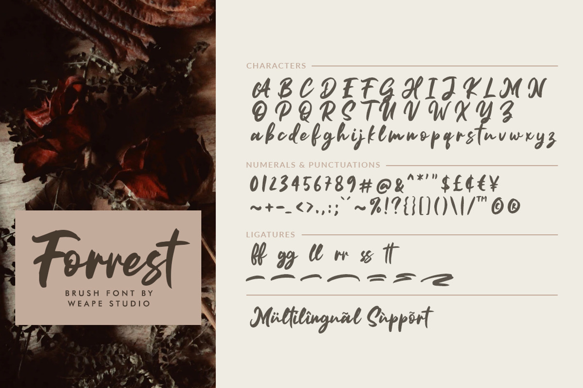 Forrest - Brush Font, a Script Font by Weape Studio (Photo 10 of 10)