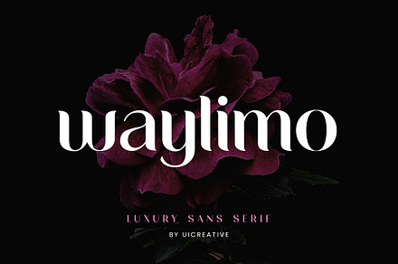 Waylimo Modern Sans Serif Font, a Sans Serif Font by UICreative
