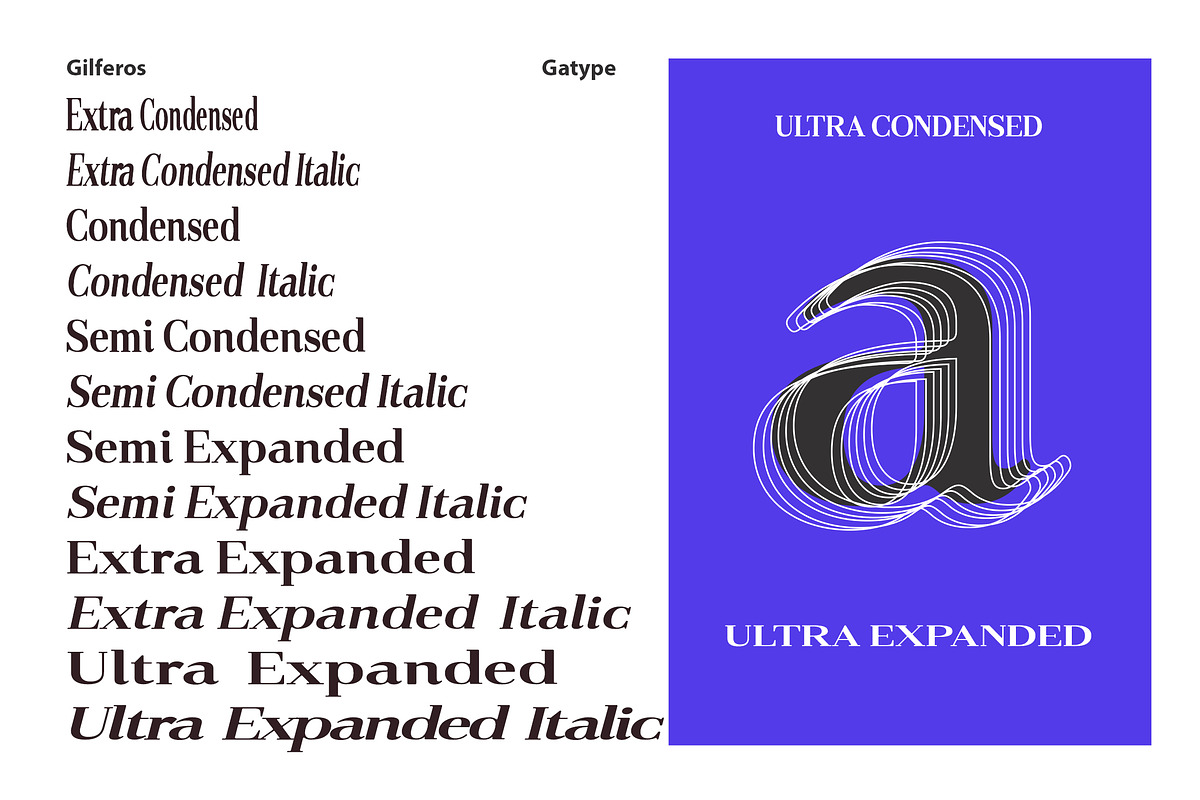 Gilferos, a Serif Font by Gatype (Photo 3 of 16)