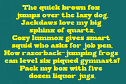 Marcopolo, a Slab Serif Font by Zaenal Studio (Thumbnail 4 of 14)