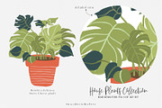 House Plants Collection, a Graphic by SmallHouseBigPony (Thumbnail 12 of 18)