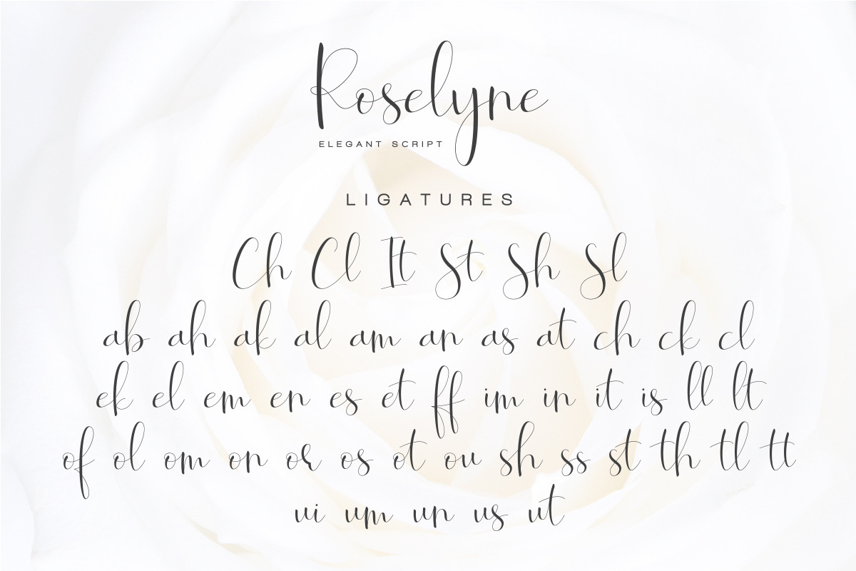 Roselyne - Caligraphy Script, a Script Font by Dharmas Foundry